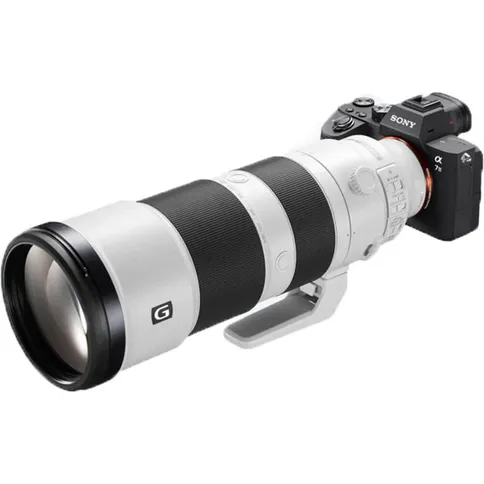 Sony FE 200-600 mm F/5.6-6.3 G OSS - Imagen 5