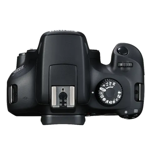 Canon EOS 4000D + Canon EF-S 18-55 mm f/3,5-5,6 DC III - Imagen 3