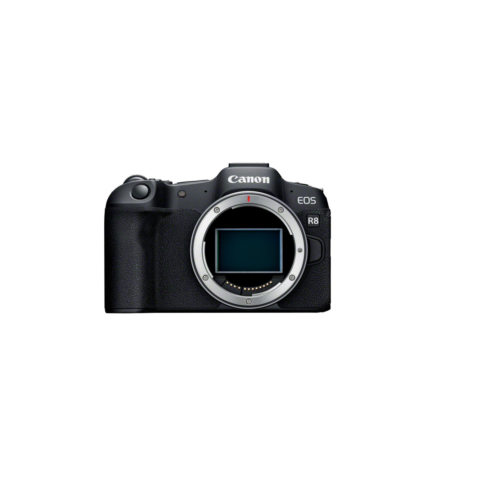 Canon EOS R8 Body - Imagen 5