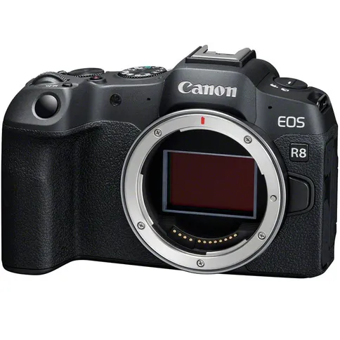 Canon EOS R8 + RF 24–50mm f/4.5–6.3 IS STM - Imagen 4