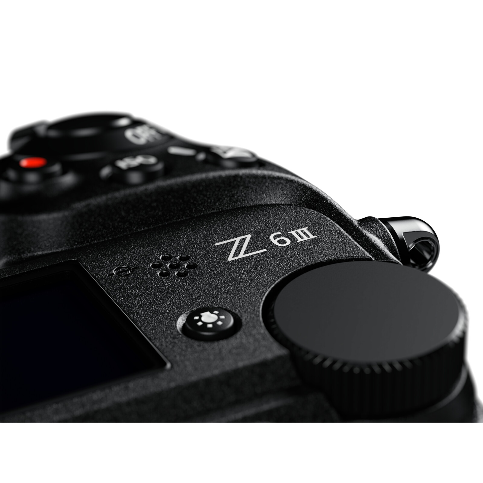 Nikon Z 6III + Nikkor Z 24-70mm f/4.0 S - Imagen 9