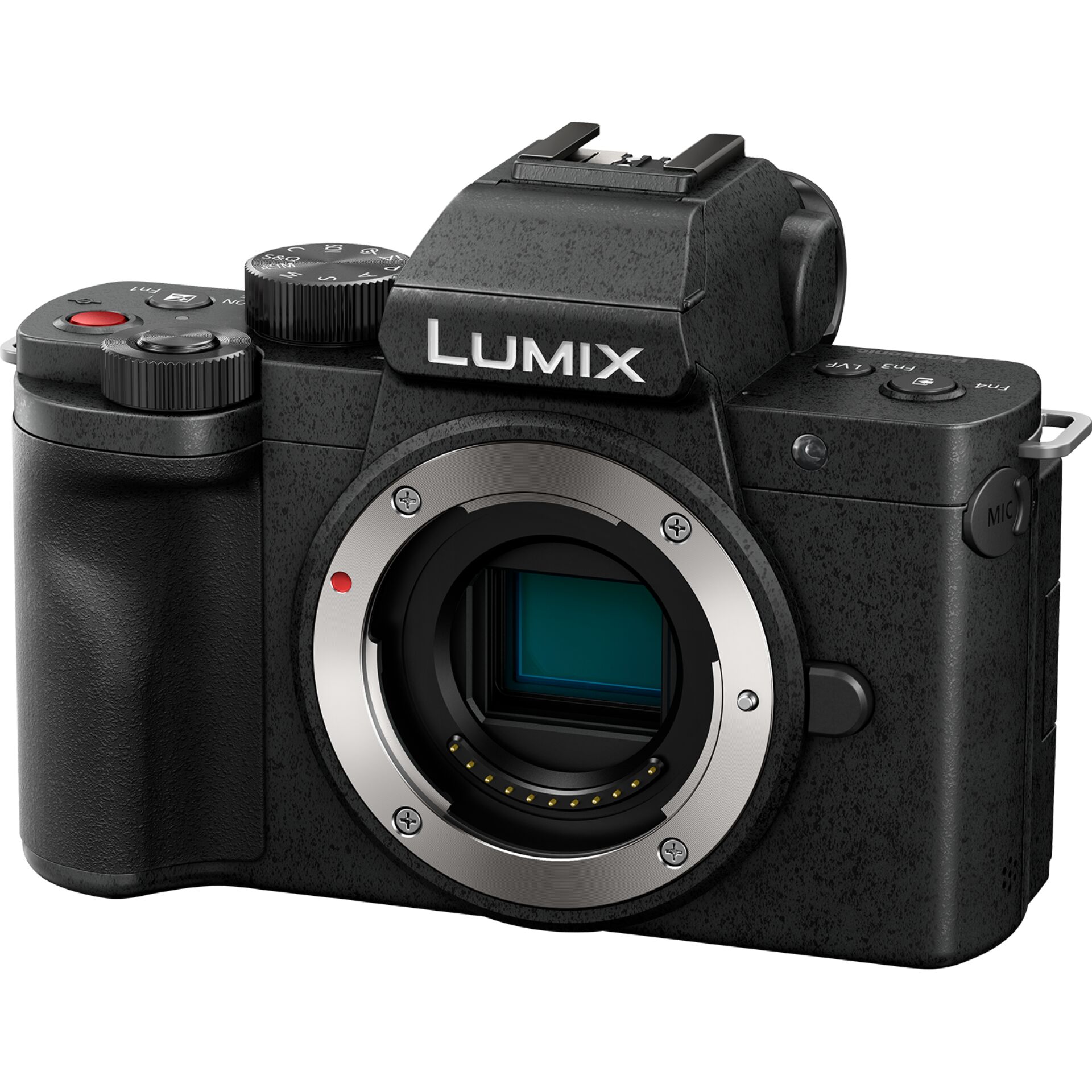 Panasonic Lumix DC-G100D + Lumix G Vario 12-32mm f/3.5-5.6 ASPH OIS + Tripod Grip