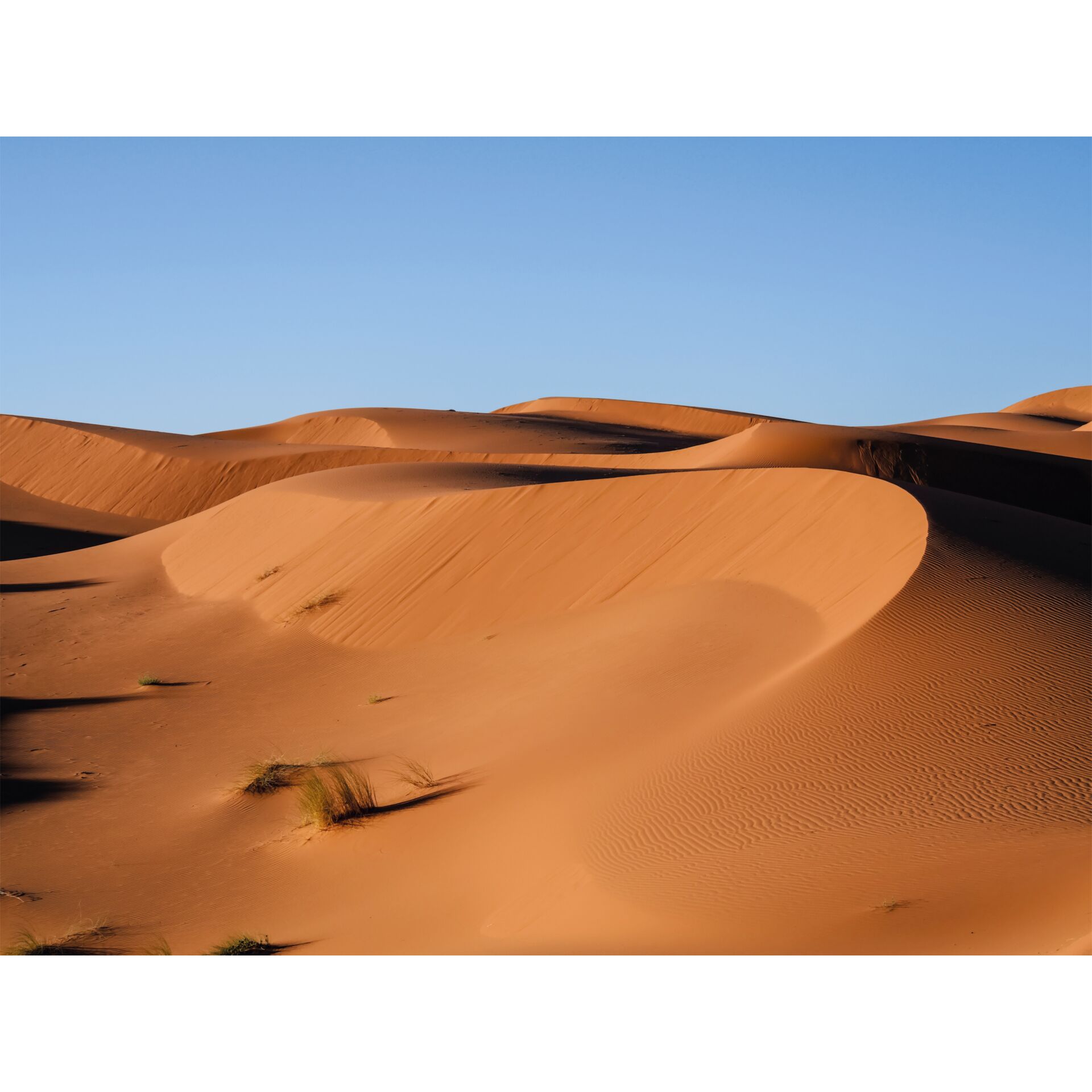 Panasonic Lumix DC-G97 + Panasonic Lumix G Vario 14-140mm f/3.5-5.6 Power OIS WR - Imagen 12